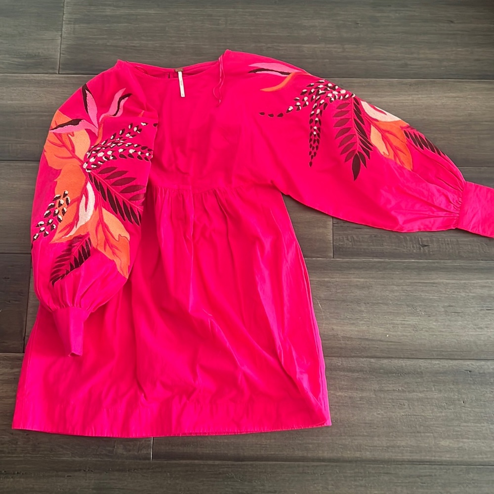 Free people pink dress or tunic